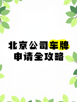 11.png